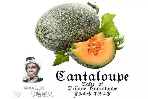 经典吃瓜群众推荐,吃瓜群众带你领略明星幕后故事