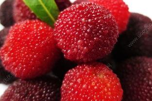 吃杨梅吃瓜会胖吗,揭秘吃后体重变化之谜