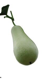 吃蒲瓜会中毒吗,食用安全需谨慎