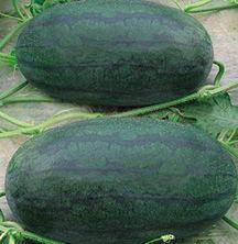 山东蒙阴吃瓜事件视频,一场引发热议的网络视频风波