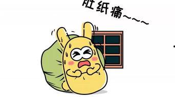 吃瓜群众2374,一场全民参与的娱乐盛宴