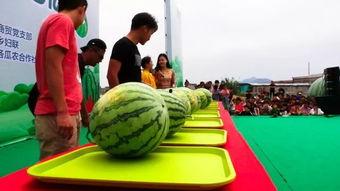 奔跑吃瓜环节,欢乐无限，尽享夏日狂欢盛宴